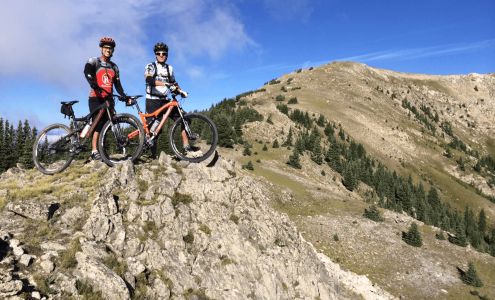 Peak Performance Physical Therapy & Sports Training, LLC