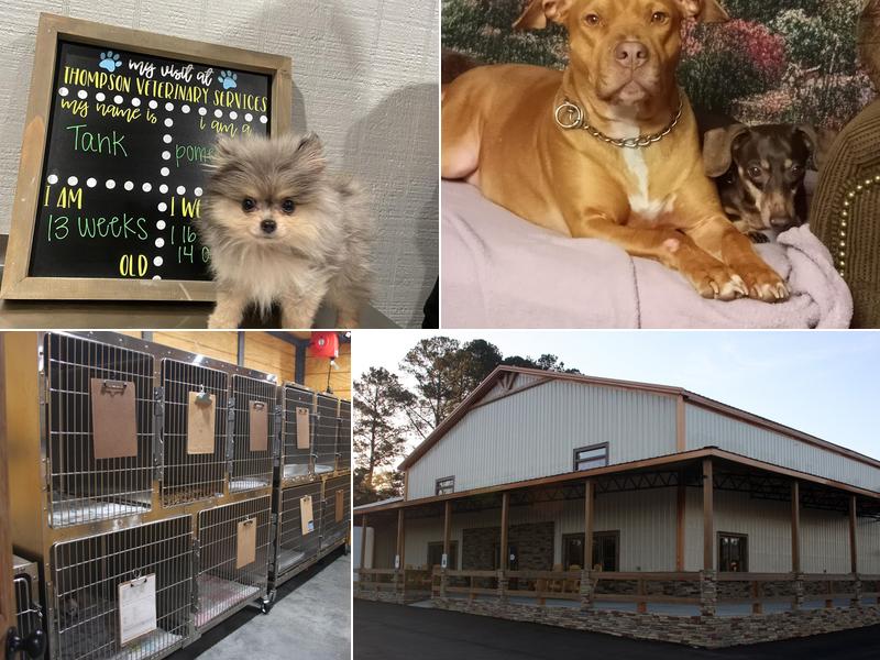 Thompson Veterinary Services (Mobile and Office For Large and Small Animals)