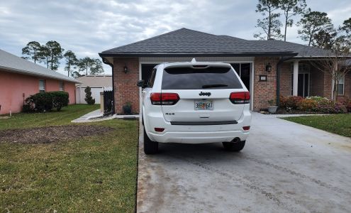 Elvis Tree Climber Extraordinaire