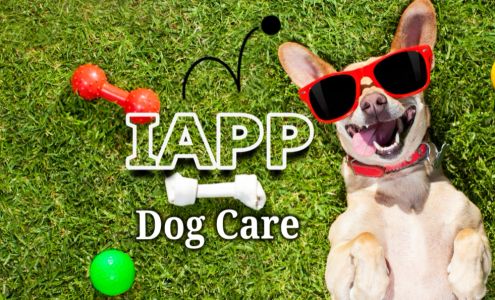 IAPP Dog Care/IAPP Dog Daycare And Boarding