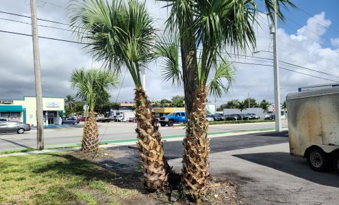 Omega's Lawn Services