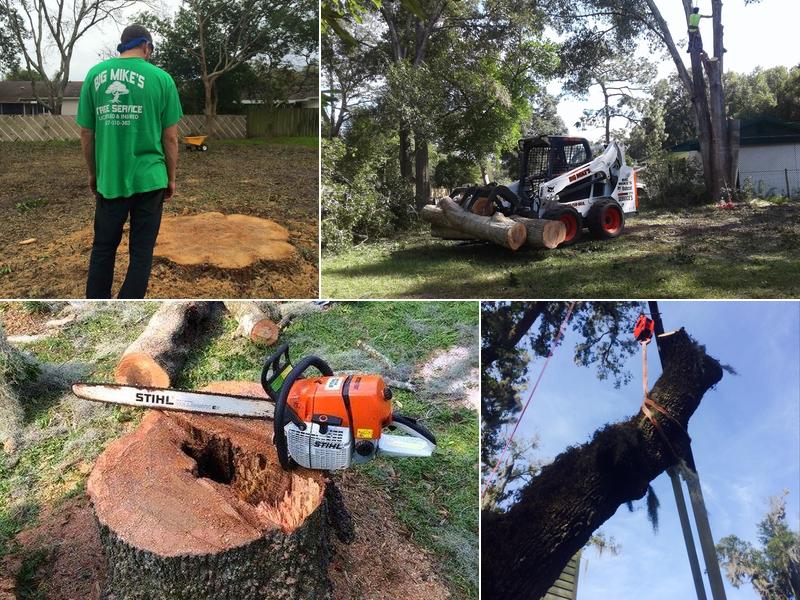 Big Mike's Tree Service