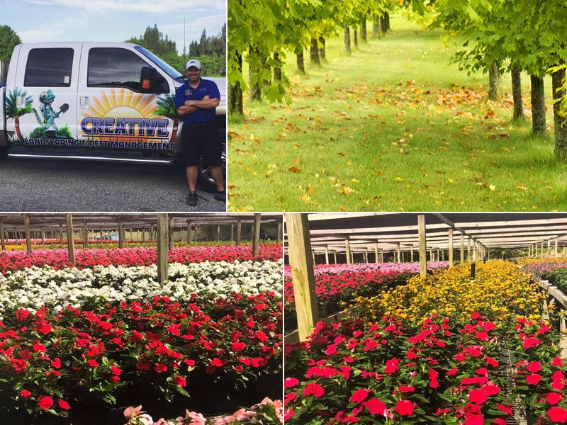 Creative Landscaping & Lawn Maintenance