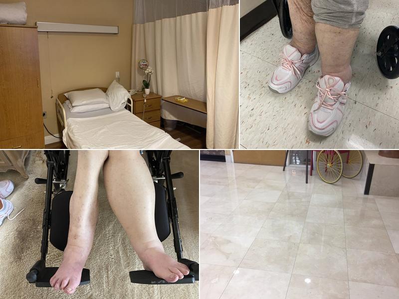 Spring Tree Nurse Rehab