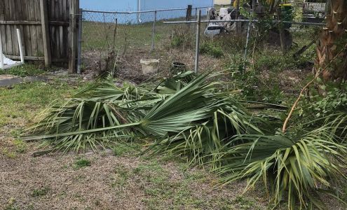 ROYALTY TREE SERVICES 3201 Canaveral Groves Blvd, Cocoa Florida 32926