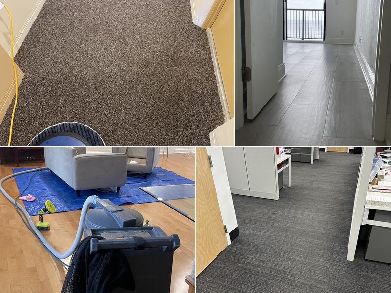 Blue Wave Carpet Cleaning LLC