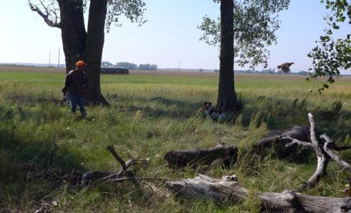 Oconee Kennels 789 Fulghum Rd, East Dublin Georgia 31027