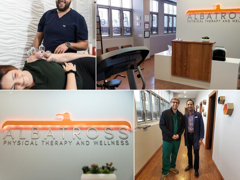 Albatross Physical Therapy and Wellness - Wheaton