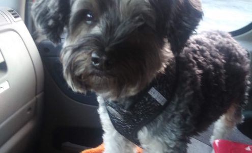 Dog House 259 Chad Claxton St, Baxley Georgia 31513