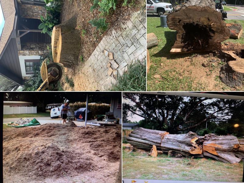 A-1 Stump Grinding & Tree Service