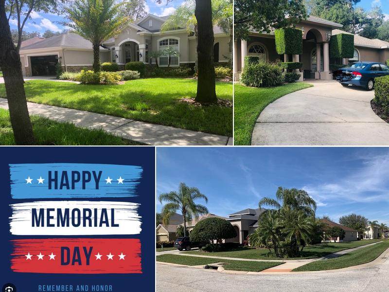 A All Quality Lawn Care