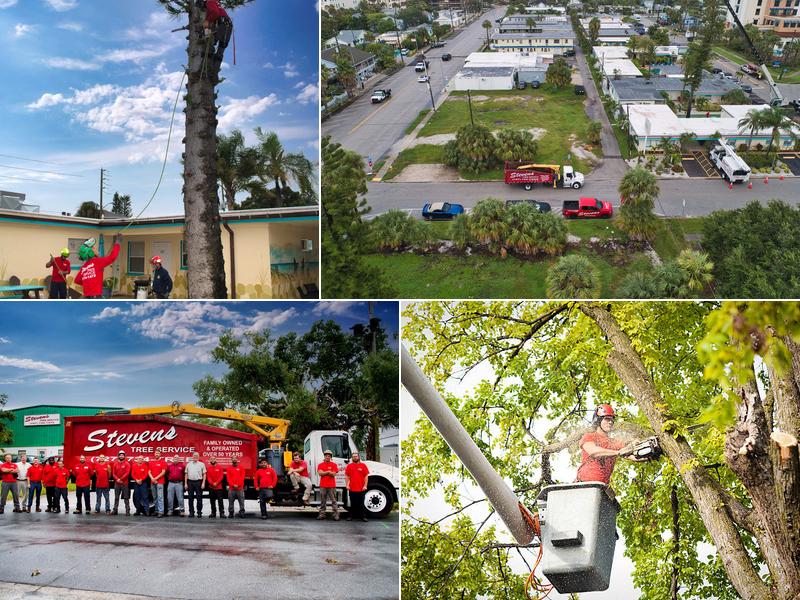 Stevens Tree Service