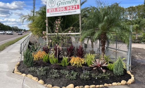 The Greenery of Tampabay