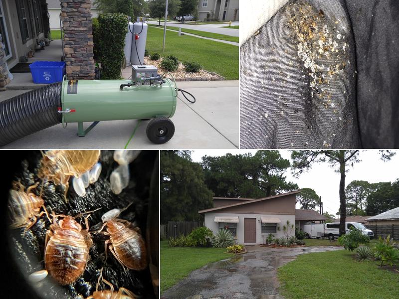 FL Bed Bug Experts