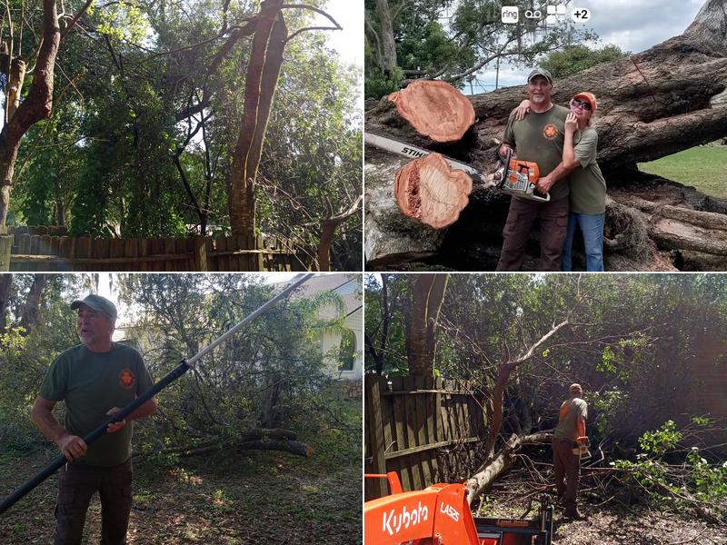 Fitzpatrick Tree Services