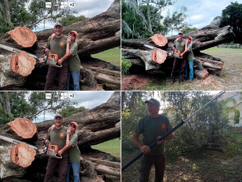 Fitzpatrick Tree Services