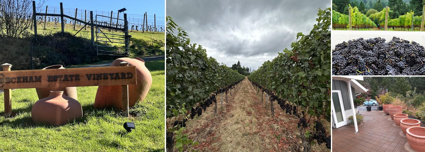 Beckham Estate -open by appointment