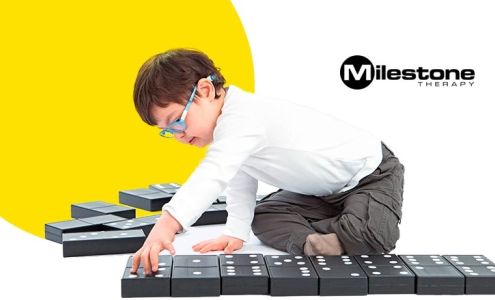 Milestone Therapy - Merrillville 370 W 80th Pl, Merrillville Indiana 46410