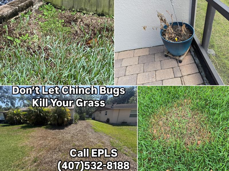 EPLS Environmental Pest & Lawn Services