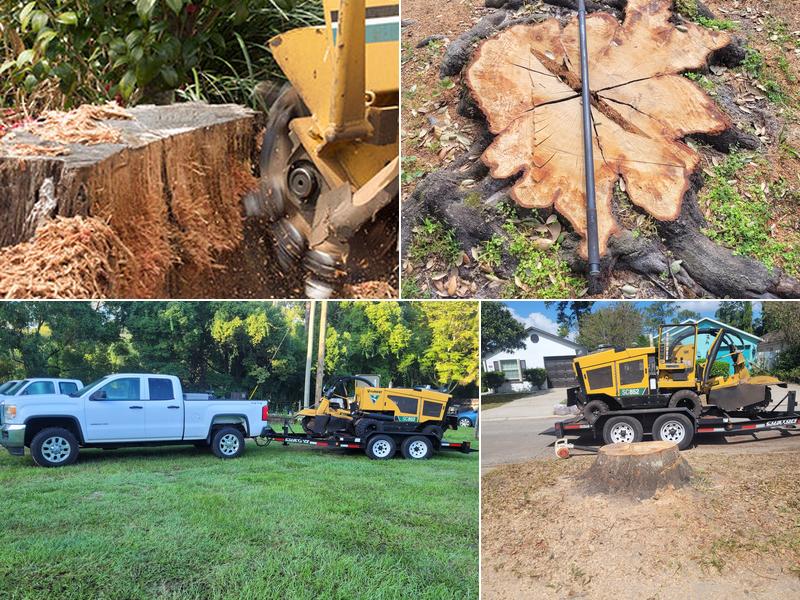 Tom's Stump Grinding