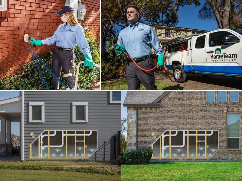 HomeTeam Pest Defense