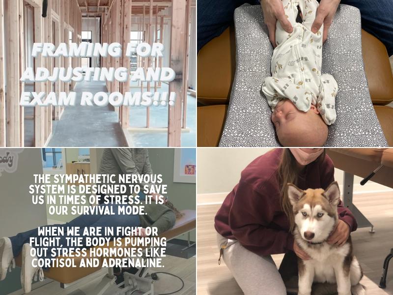 True Roots Chiropractic- Norwalk