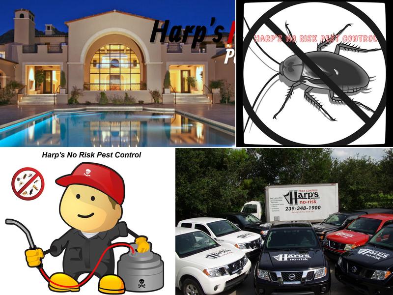 Harp's No Risk Pest Control