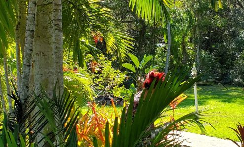 Elata Natives 5170 Buckingham Rd, Fort Myers Florida 33905