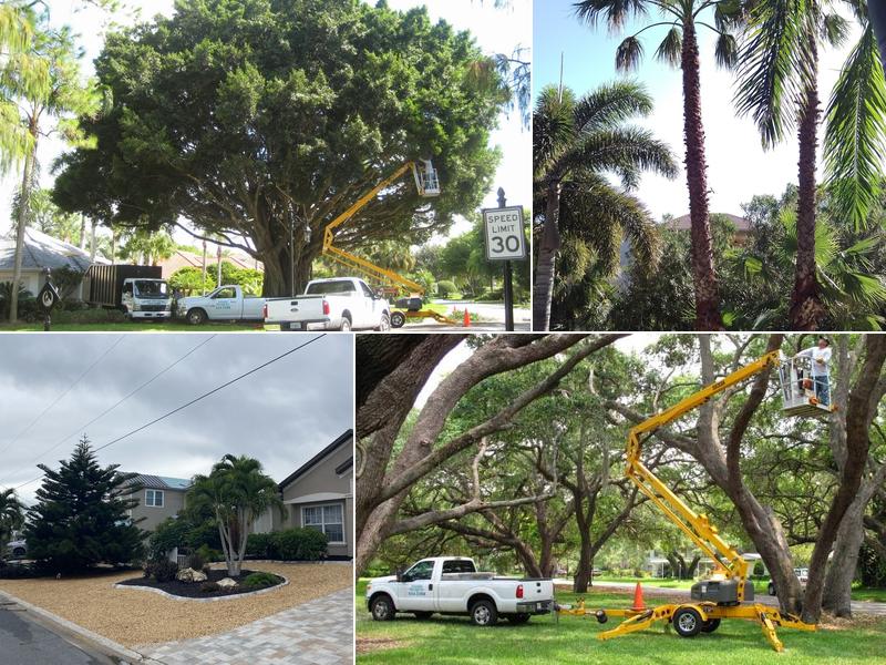 Edwards Tree Services Inc