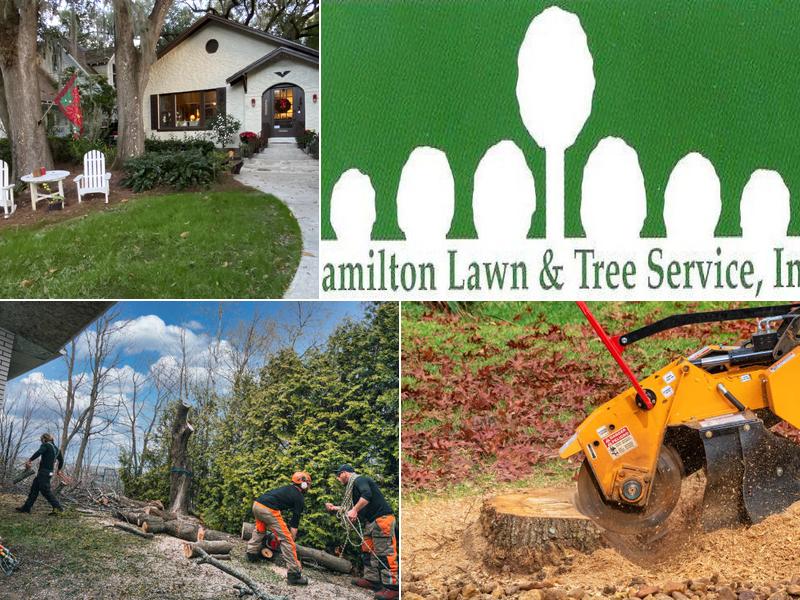 Hamilton Tree Service