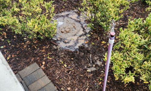 Florida Empire Plumbing Inc