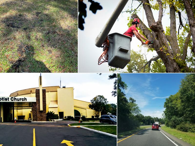 Show Me Tree Service