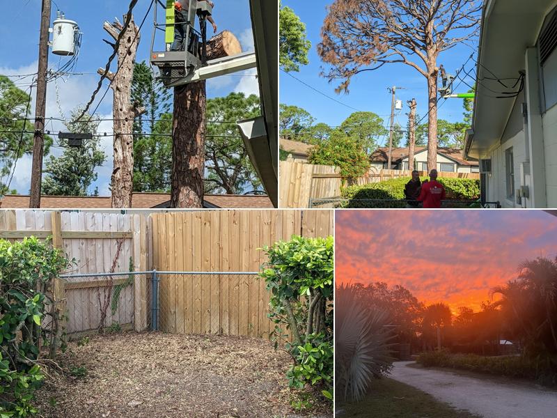 Paradise Lawn And Tree Service, Inc.