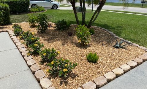 Landscaping on a Budget Sarasota