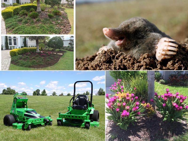 Eco-Lectric Landscape Maintenance LLC.