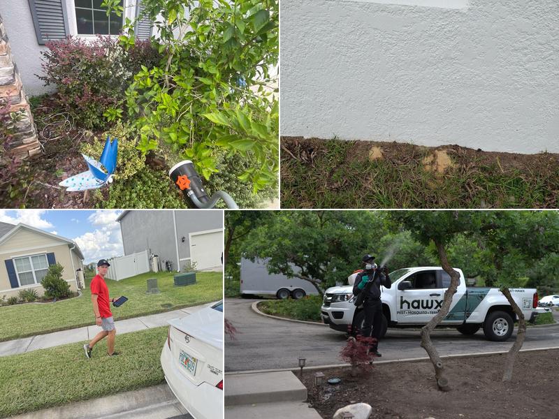 Hawx Pest Control