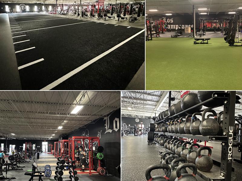 Maverick Physiotherapy