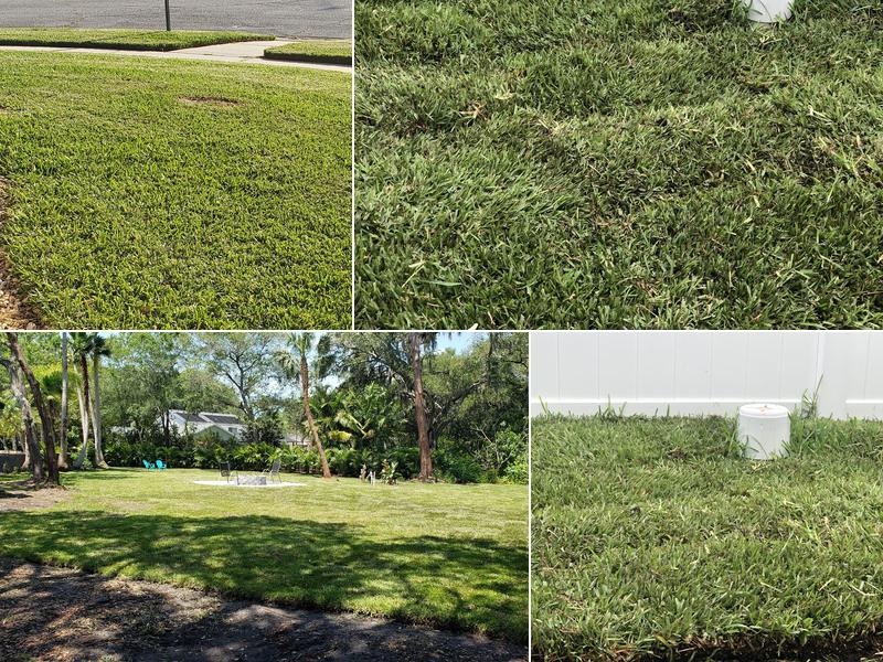 Felix And Son Sod Inc.