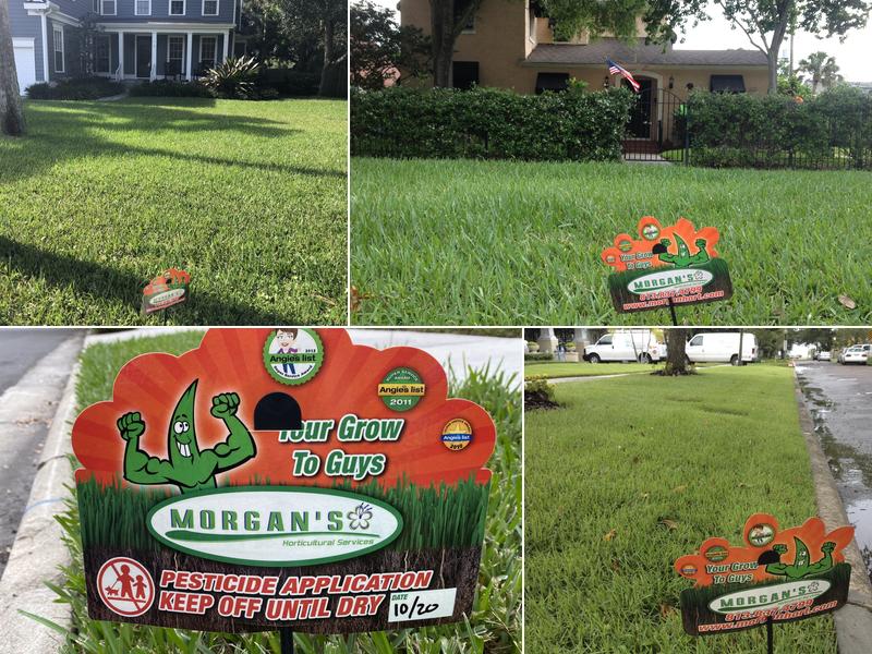 Morgan Horticultural Services