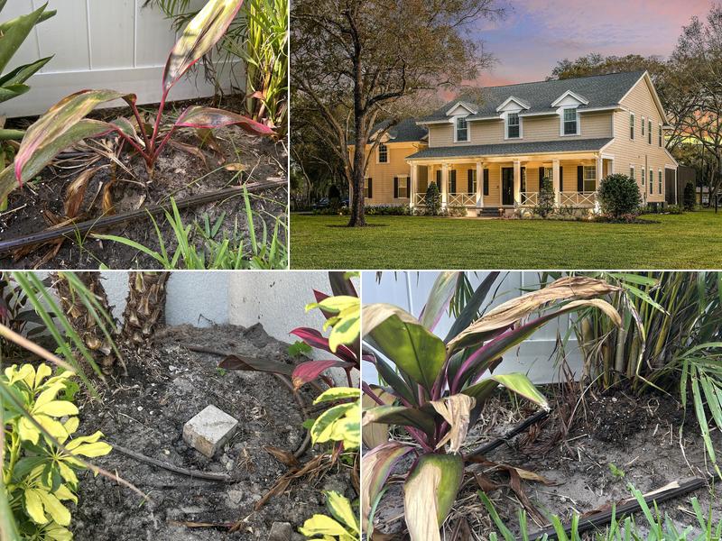 Oasis Landscape & Irrigation