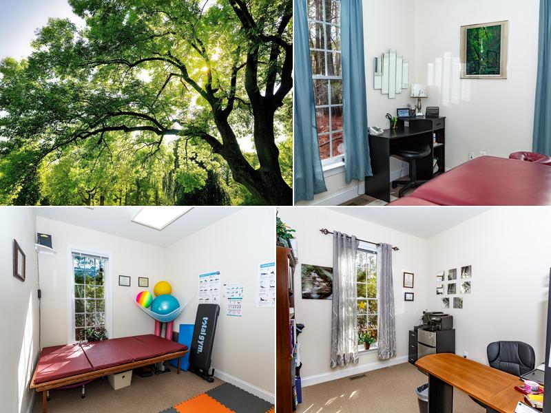 GreenTree Physical Therapy Solutions