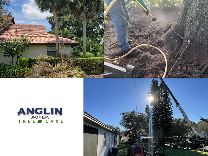 Anglin Brothers Tree Care