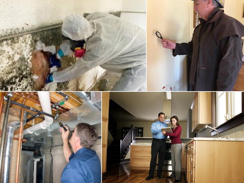 Sherlock Homes & Mold Inspections