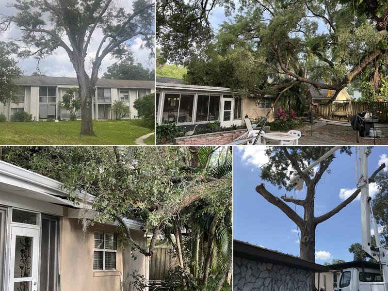 Danny's Tree Services