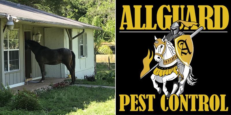 Allguard Pest Control Inc