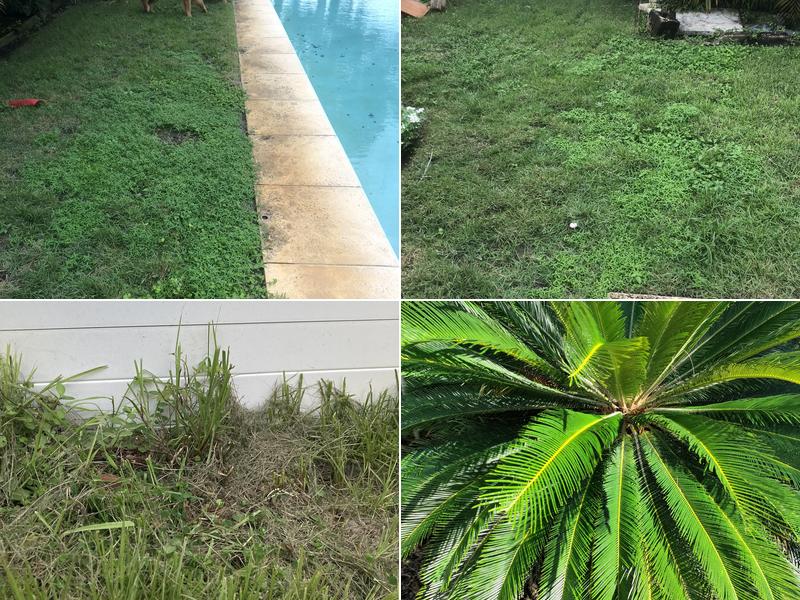 Marshall Lawn and Pest Control