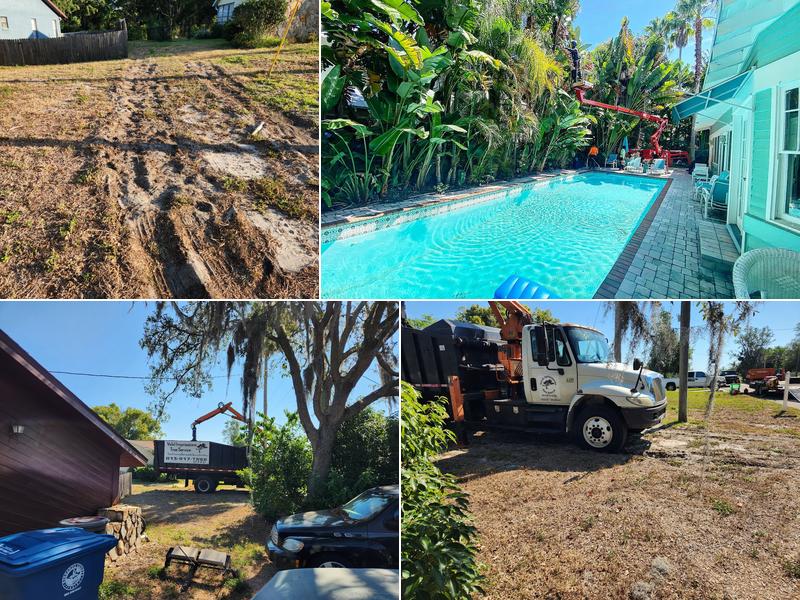 Valid Impressions Tree Service LLC