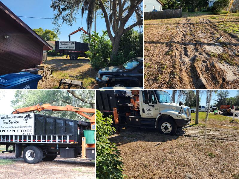 Valid Impressions Tree Service LLC