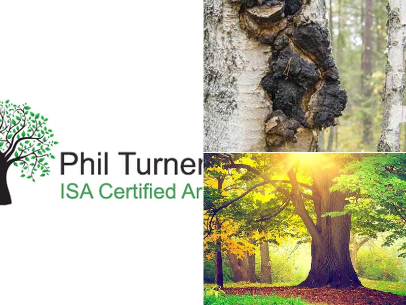 Phil Turner ISA Certified Arborist