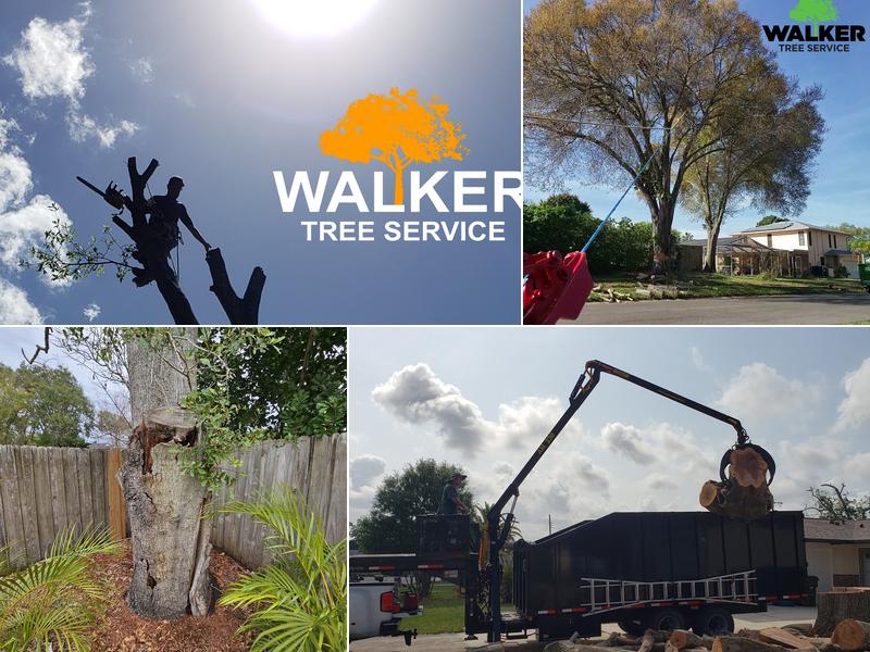 Walker Tree Service